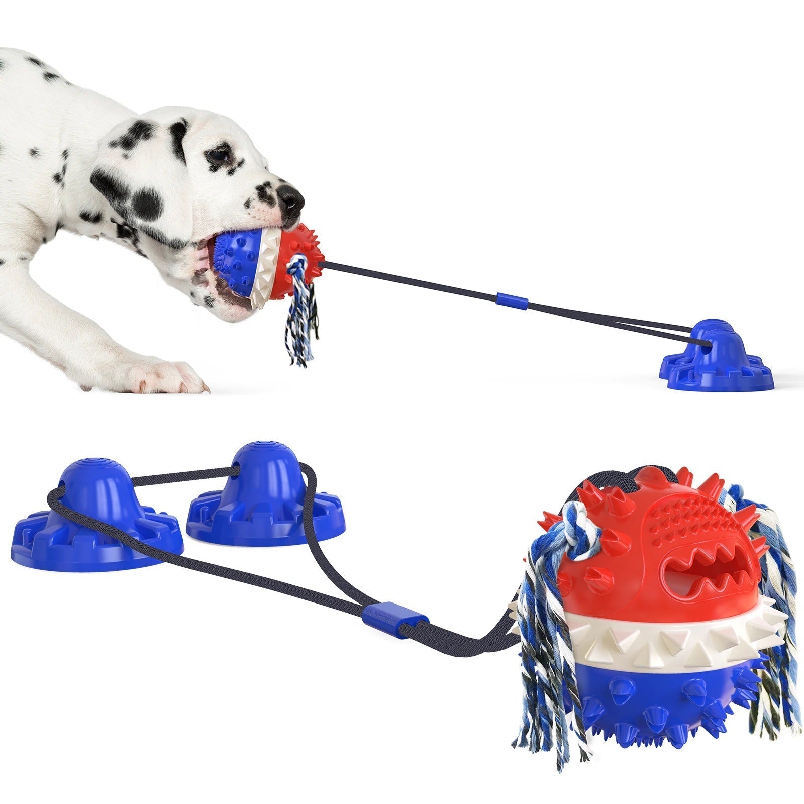 Zahnfreundliches Rollspielzeug für Hunde