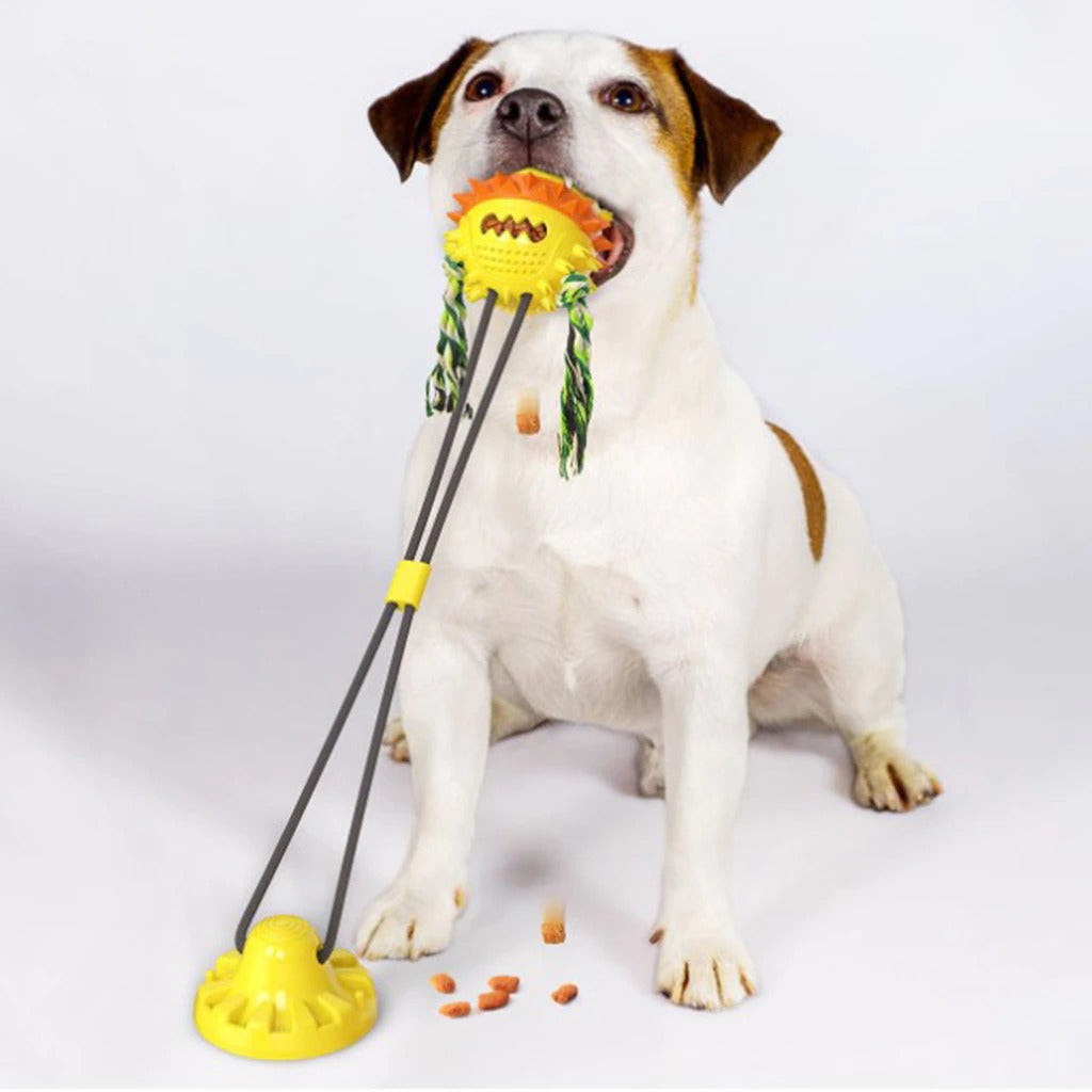 Zahnfreundliches Rollspielzeug für Hunde