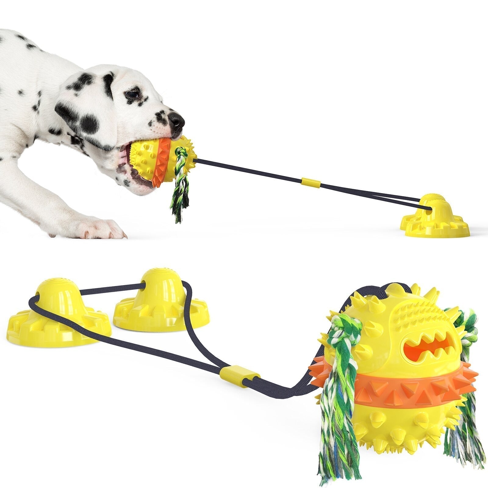 Zahnfreundliches Rollspielzeug für Hunde