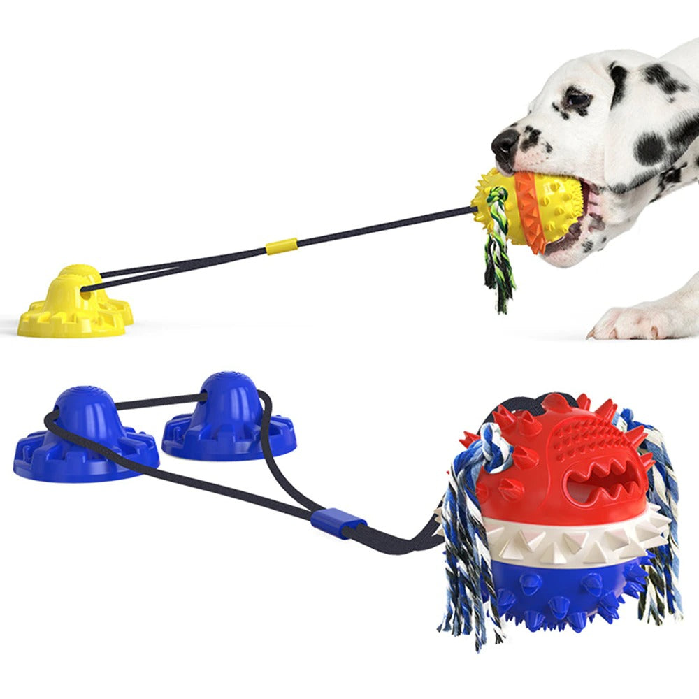 Zahnfreundliches Rollspielzeug für Hunde