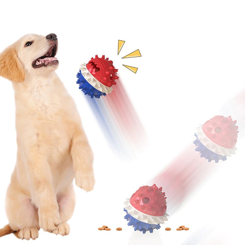 Zahnfreundliches Rollspielzeug für Hunde