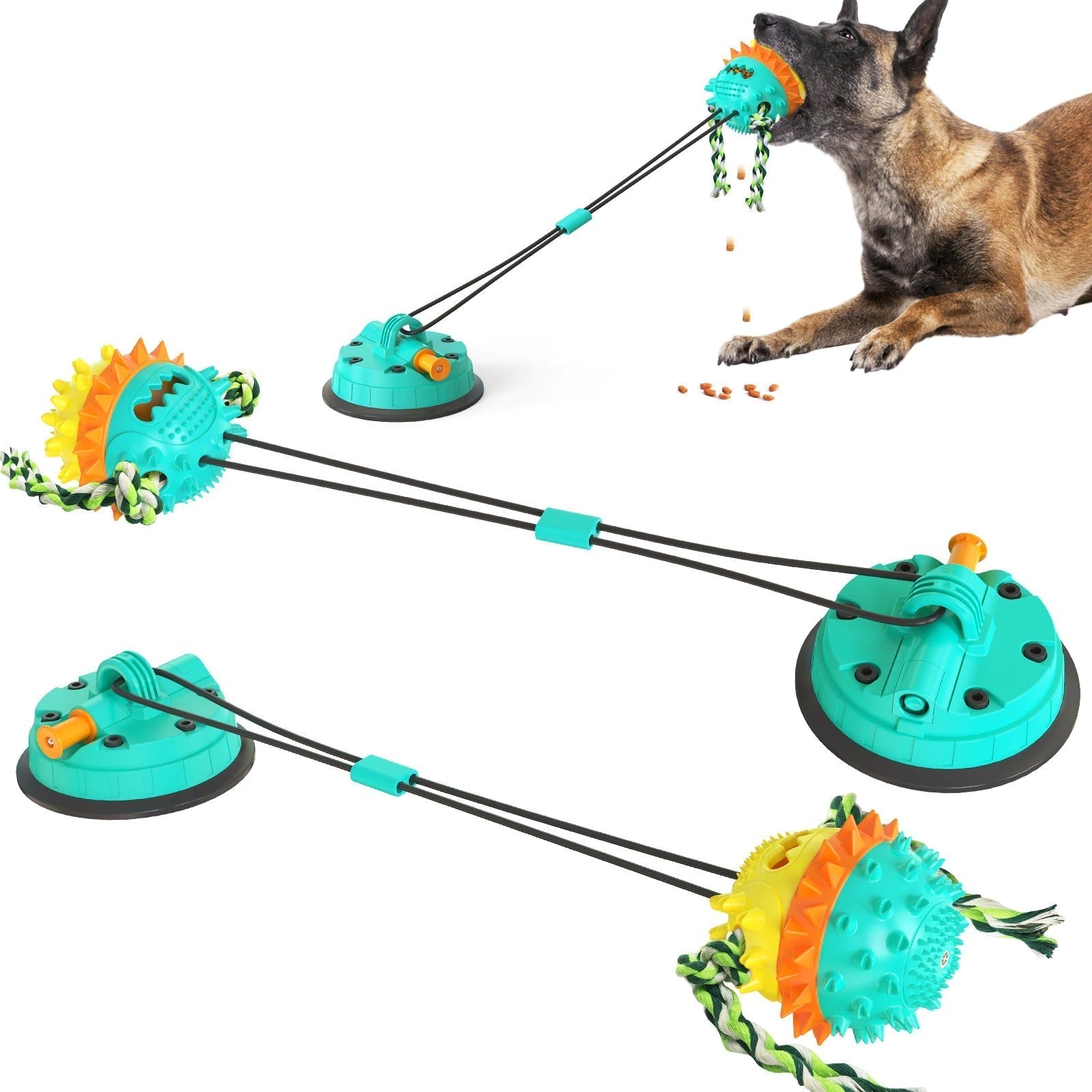 Zahnfreundliches Rollspielzeug für Hunde