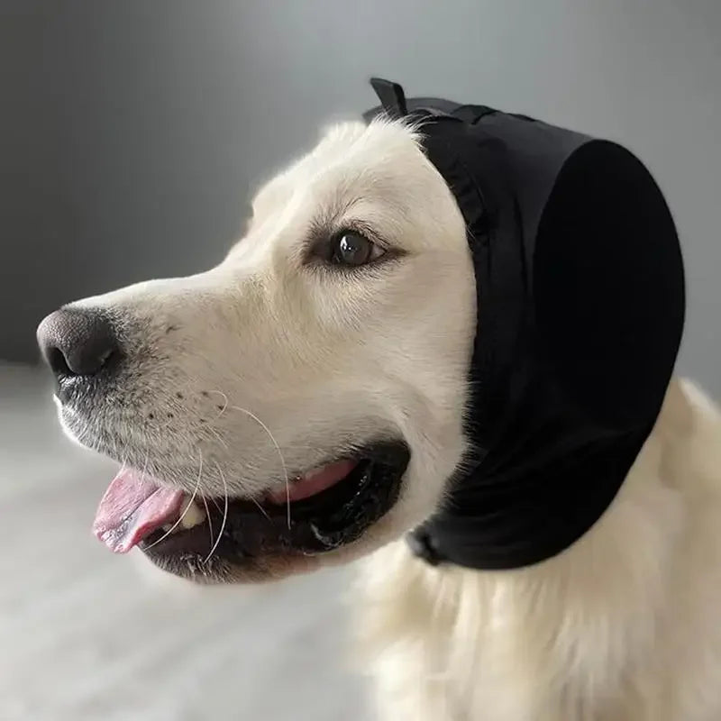 Schallschutz-Stirnband für Hunde