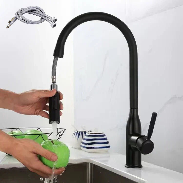 Moderner Ausziehbarer Küchenhahn mit Einziehbarer Handbrause
