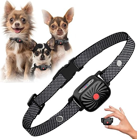 Hundehalsband zur Lärmkontrolle