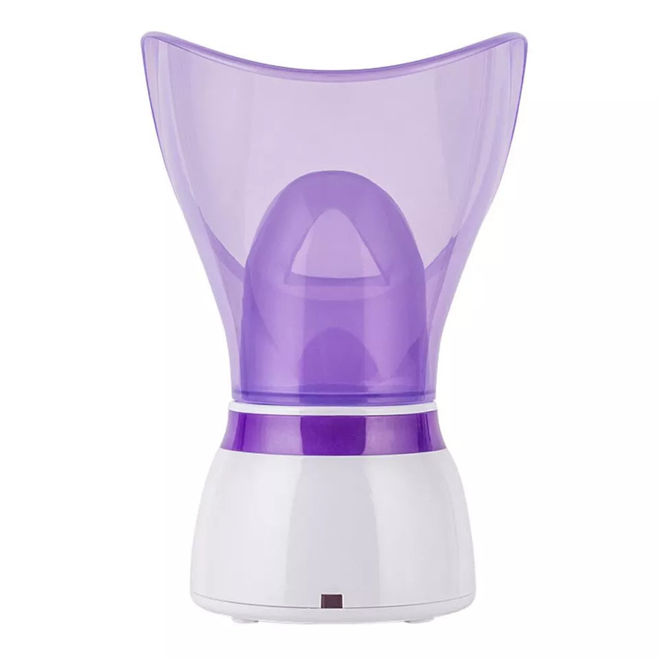 Tragbarer Gesichtsdampfer für das Home-Spa