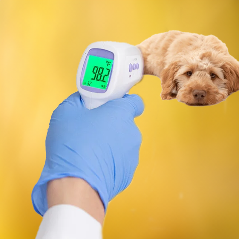Berührungsloses Digitales Haustier Thermometer